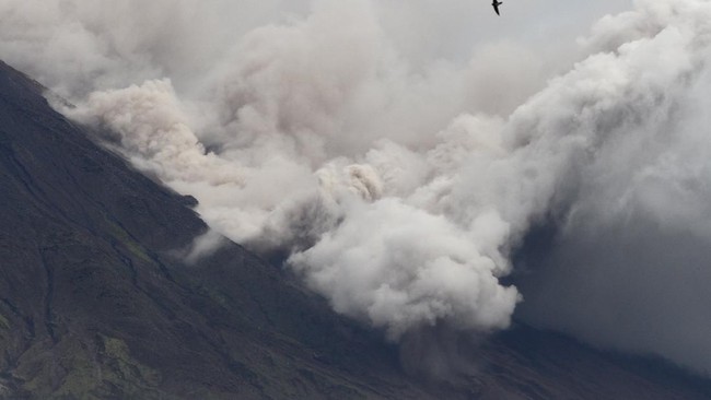 Gunung Semeru nan berada di perbatasan Kabupaten Lumajang dan Malang erupsi dengan letusan setinggi 600 meter di atas puncak pada Minggu (21/7).