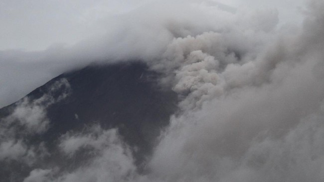 Gunung Ile Lewotolok menyemburkan abu vulkanik dengan tinggi mencapai 2.423 meter di atas permukaan laut.