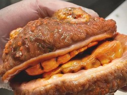 Nelayan Ini Tangkap Ikan Langka, Bentuknya Mirip Burger yang Punya Gigi!