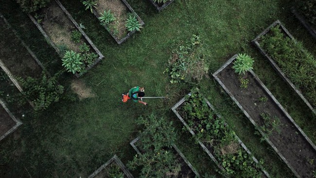 Indonesia menyiapkan lapangan kerja ramah lingkungan (green jobs) untuk mendukung transisi ke ekonomi hijau (green economy).