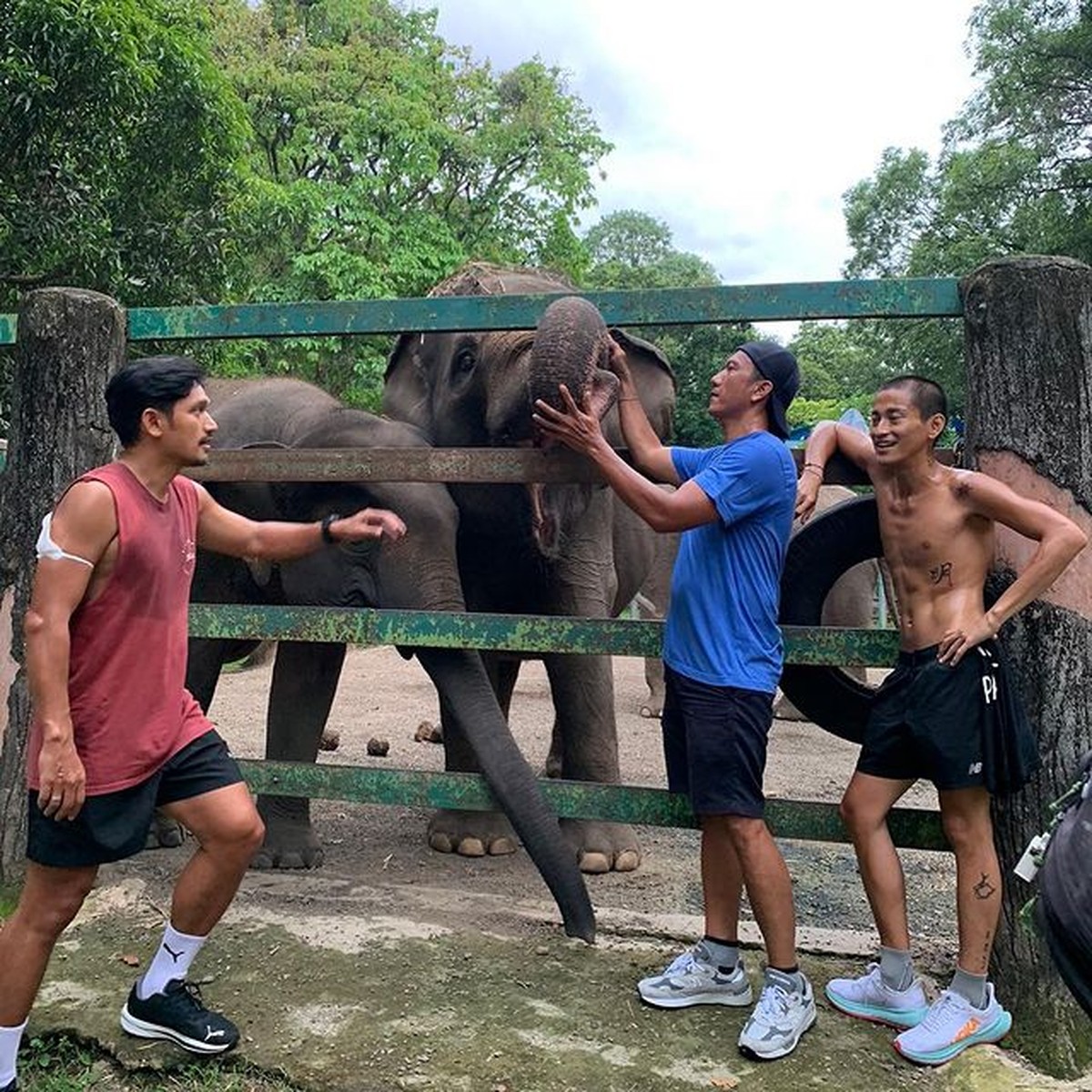 Bio One kini tampil dengan tubuh kurus yang menjadi sorotan dan perbincangan publik&period; Yuk intip potretnya&excl;