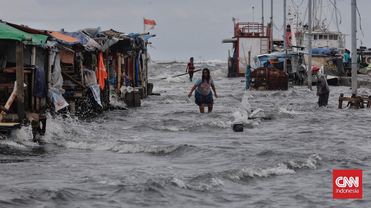 FOTO: Banjir Rob di Muara Angke