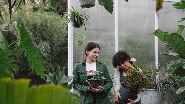 Bertangan Dingin, 5 Zodiak ini Gemar Berkebun dan Selalu Berhasil