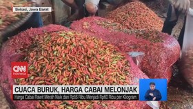 VIDEO: Cuaca Buruk, Harga Cabai Melonjak