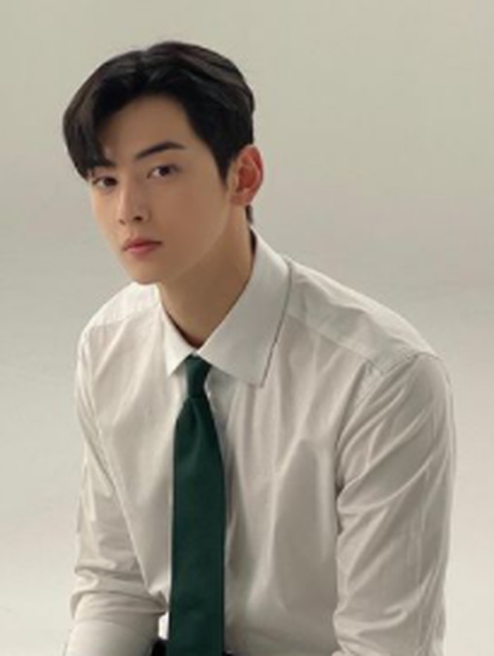 Cha Eunwoo, aktor sekaligus anggota boy group ASTRO, dikenal dengan visual 