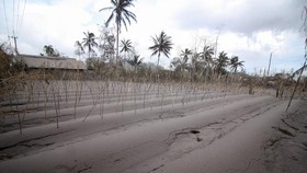 BRIN Catat Kerusakan Lahan 2.417 Hektare Dampak Erupsi Semeru