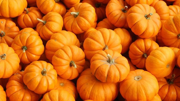 4 Manfaat Labu Kuning untuk Kesehatan, Salah Satunya Bisa Bantu Turunkan Berat Badan, Lho!