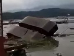 Heboh Ekskavator Terbalik di Rawa Jombor Klaten