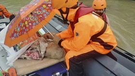 Terjebak Banjir Makassar, Kakek Penderita Stroke Dievakuasi Tim SAR