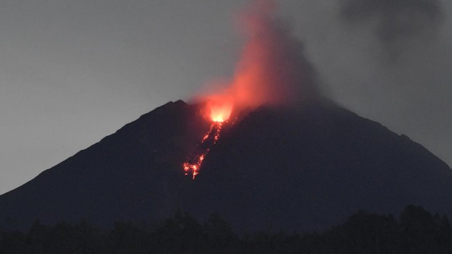 PVMBG Minta Seluruh Aktivitas di Area 13 KM dari Puncak Semeru Disetop PVMBG meminta seluruh aktivitas di area sejauh 13 kilometer dari puncak Semeru dihentikan dan dikosongkan karena awan panas guguran masih berpotensi terjadi.