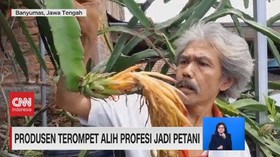 VIDEO: Beralih Profesi Demi Meraup Cuan