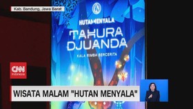 VIDEO: Wisata Malam 'Hutan Menyala'