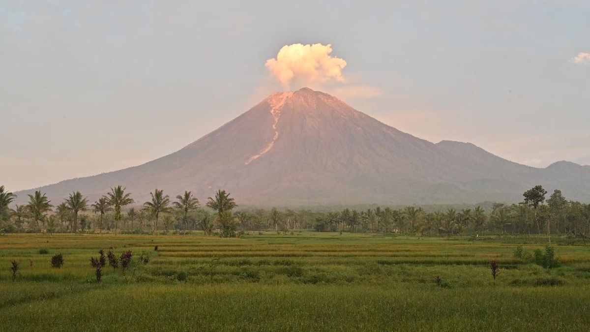 Status Gunung Semeru Turun dari Awas Menjadi Siaga