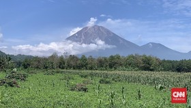 Gunung Semeru Empat Kali Erupsi pada Kamis