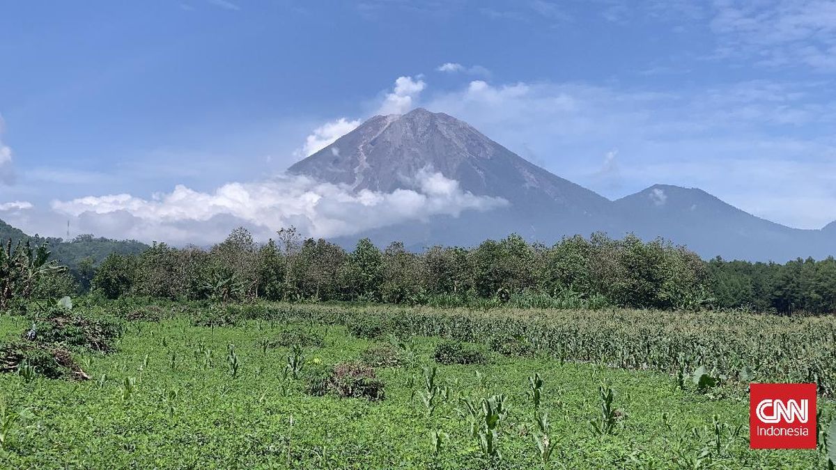 Gunung Semeru Empat Kali Erupsi pada Kamis