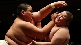 FOTO: Pegulat Sumo Cilik Menggapai Ketenaran dan Kekayaan