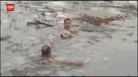 VIDEO: Aksi Polisi Spanyol Selamatkan Anjing Tenggelam di Kolam Es