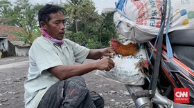 Banjir Lahar Dingin Semeru hingga 1 Meter, Warga Evakuasi Ternak