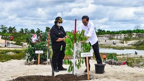 Jokowi Tanam Pohon di Area Bekas Tambang di Sintang Kalbar
