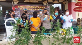 Bule Spanyol di Bali Tanam 19 Pohon Ganja di Kamar Mandi