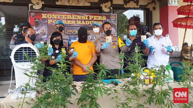 Petugas curiga dengan paket amplop kiriman dari Spanyol ke Bali. Setelah ditelusuri, amplop itu rupanya berisi biji ganja dari Amsterdam, Belanda.