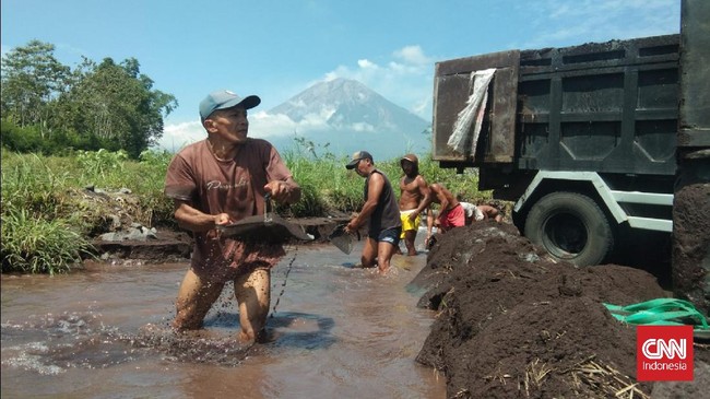 Para penambang pasir di sejumlah sungai yang berhulu di Gunung Semeru, Lumajang, tetap nekat beraktivitas tanpa takut ancaman lahar dingin.