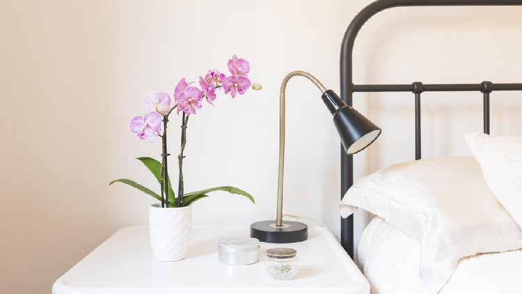 Close up of purple orchid in white pot on side table next to black metal frame bed