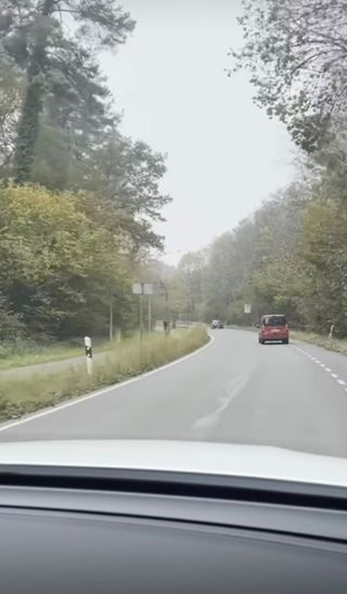 Ira Wibowo pernah menghabisi masa kecilnya tinggal di sebuah kota di Jerman bernama&comma; Konstanz&period; Yuk kita intip&excl;