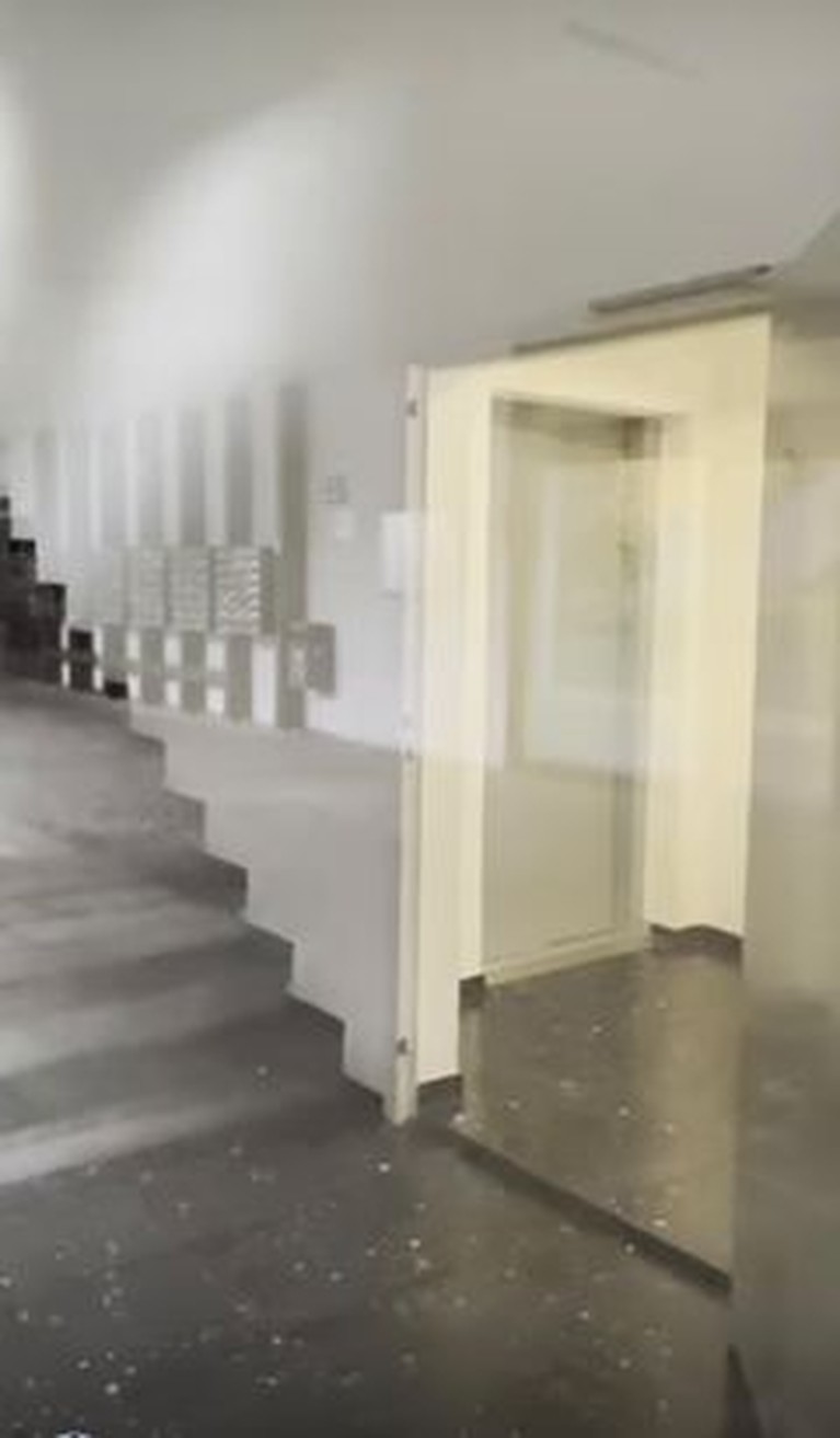 Ira Wibowo pernah menghabisi masa kecilnya tinggal di sebuah kota di Jerman bernama, Konstanz. Yuk kita intip!