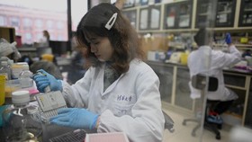 FOTO: Mengintip Lab China Usai Penemuan Obat Covid-19 Disetujui