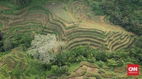 Proyek Stranas Disebut Picu 38 Konflik Agraria Sepanjang 2021