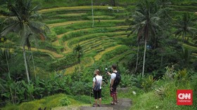Wisata Ubud dan Sa Pa, Memandang Padi Tak Hanya sebagai Makanan Pokok