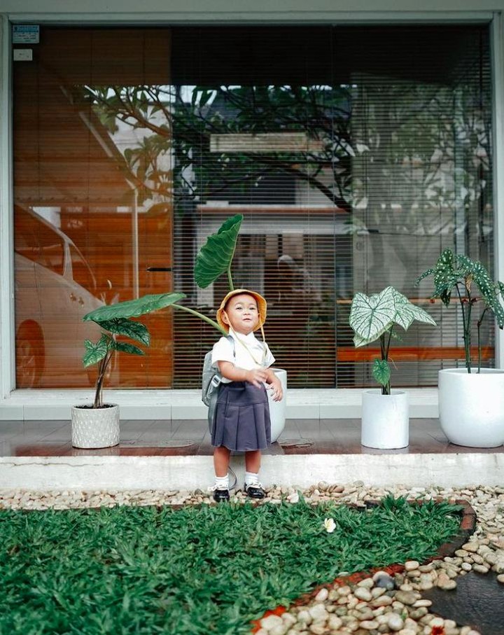 Rumah Fitri Tropica