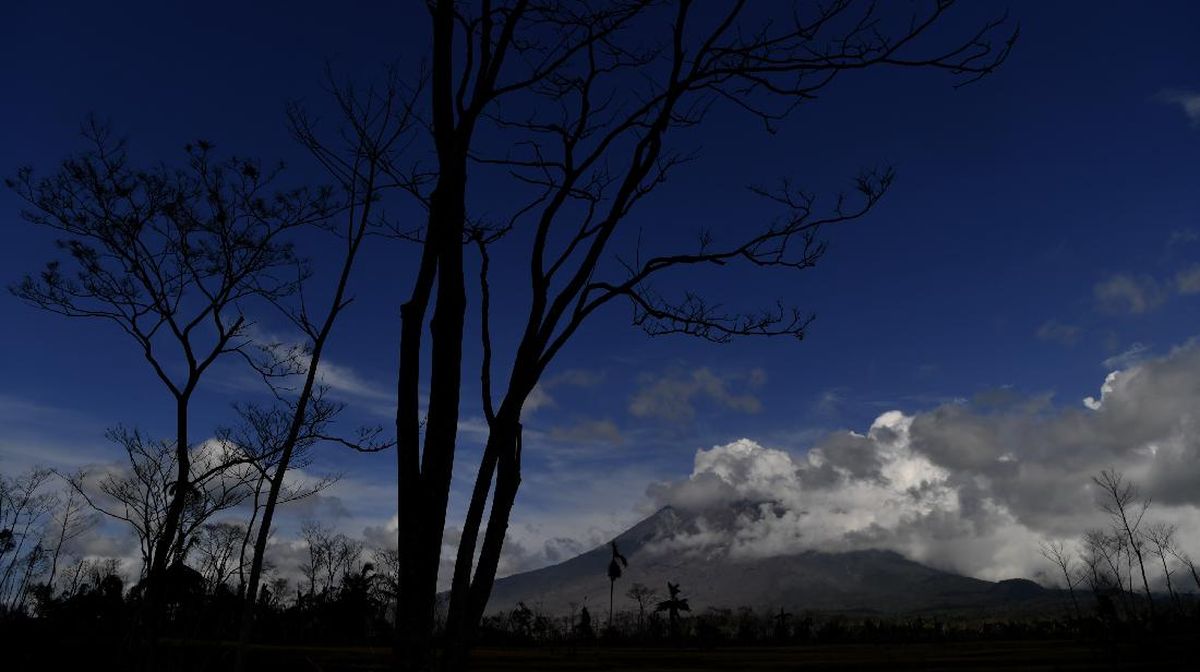 Gunung Semeru Kembali Erupsi, Letusan Capai Ketinggian 900 Meter