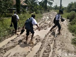 Petani di Sumut Resah Harga Gabah Anjlok Gegara Jalan Rusak Parah