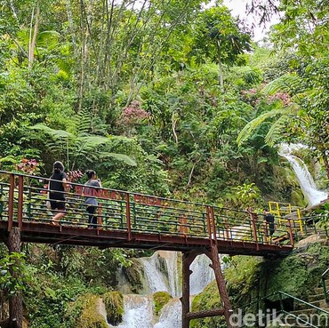 Mengenal Ekowisata, Jenis Pariwisata Ramah Lingkungan yang Tengah Jadi Tren
