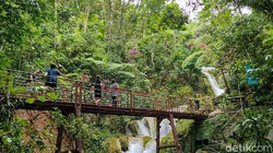 Mengenal Ekowisata, Jenis Pariwisata Ramah Lingkungan yang Tengah Jadi Tren