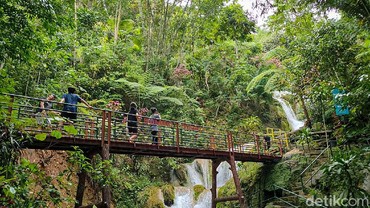Mengenal Ekowisata, Jenis Pariwisata Ramah Lingkungan yang Tengah Jadi Tren