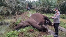 FOTO: Mang Oded Meninggal, Rachel Vennya Tak Dipenjara