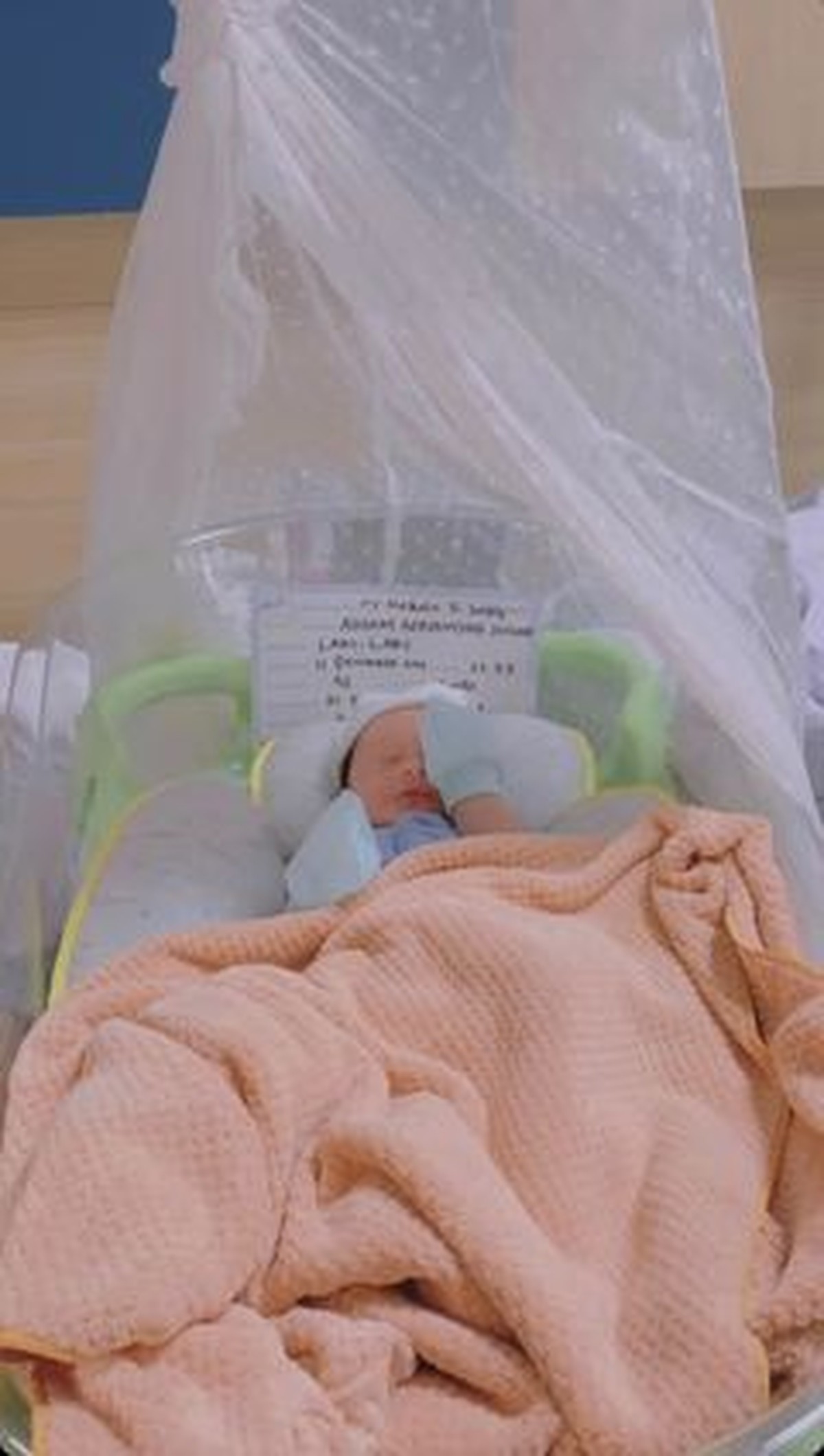 Sule dan Nathalie Holscher sedang berbahagia dikaruniai anak laki-laki yang diberi nama Adzam Adriansyah Sutisna&period; Yuk intip potretnya&excl;