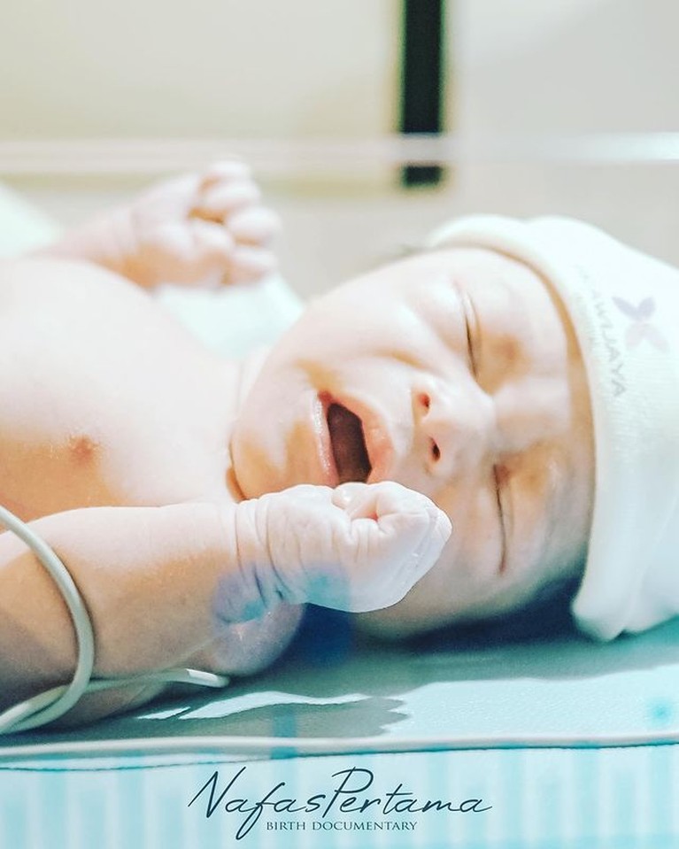 Sule dan Nathalie Holscher sedang berbahagia dikaruniai anak laki-laki yang diberi nama Adzam Adriansyah Sutisna. Yuk intip potretnya!