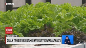 VIDEO: Di Balik Tingginya Kebutuhan Sayur untuk Warga Jakarta