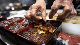 FOTO: Mencari 'Jalan Damai' Antara Belut dan Restoran Jepang