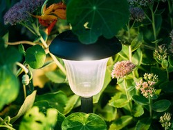 Ini 10 Tips Memilih Lampu Taman Terbaik dan Teknik Pencahayaannya