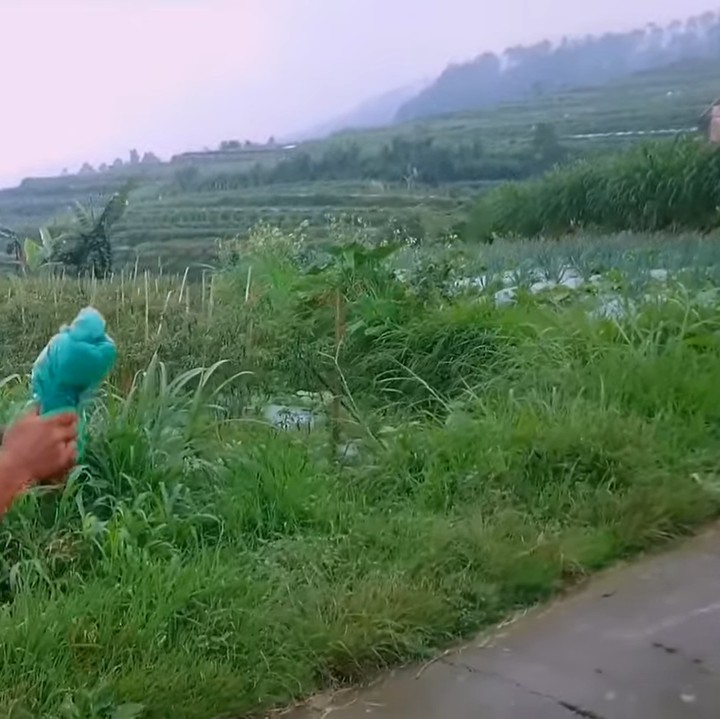 <p>Para petani bekerja setiap hari dengan mendaki jalanan untuk menuju sawah dan kebun. Di ujung sawah, jalanan tersebut mengarah ke Gunung Merbabu. (Foto: YouTube Jejak Bang Ibra)</p>