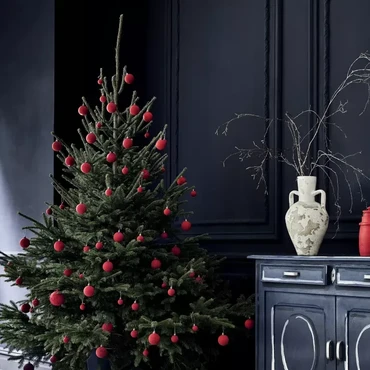 Lirik Lagu Natal di Hatiku - Jonathan Prawira