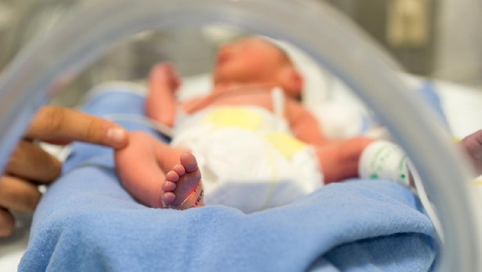 bayi baru lahir