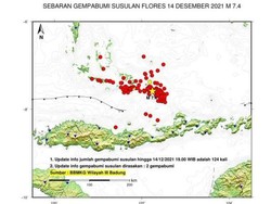 Ada 313 Gempa Susulan Usai Terjadi Gempa M 7,4 di NTT