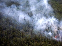 Suhu Tertinggi Arktika di Kutub Utara Lebih Panas dari Jakarta-Surabaya