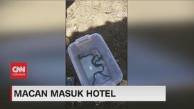 VIDEO: Puluhan Ular Kobra Masuk Sekolah